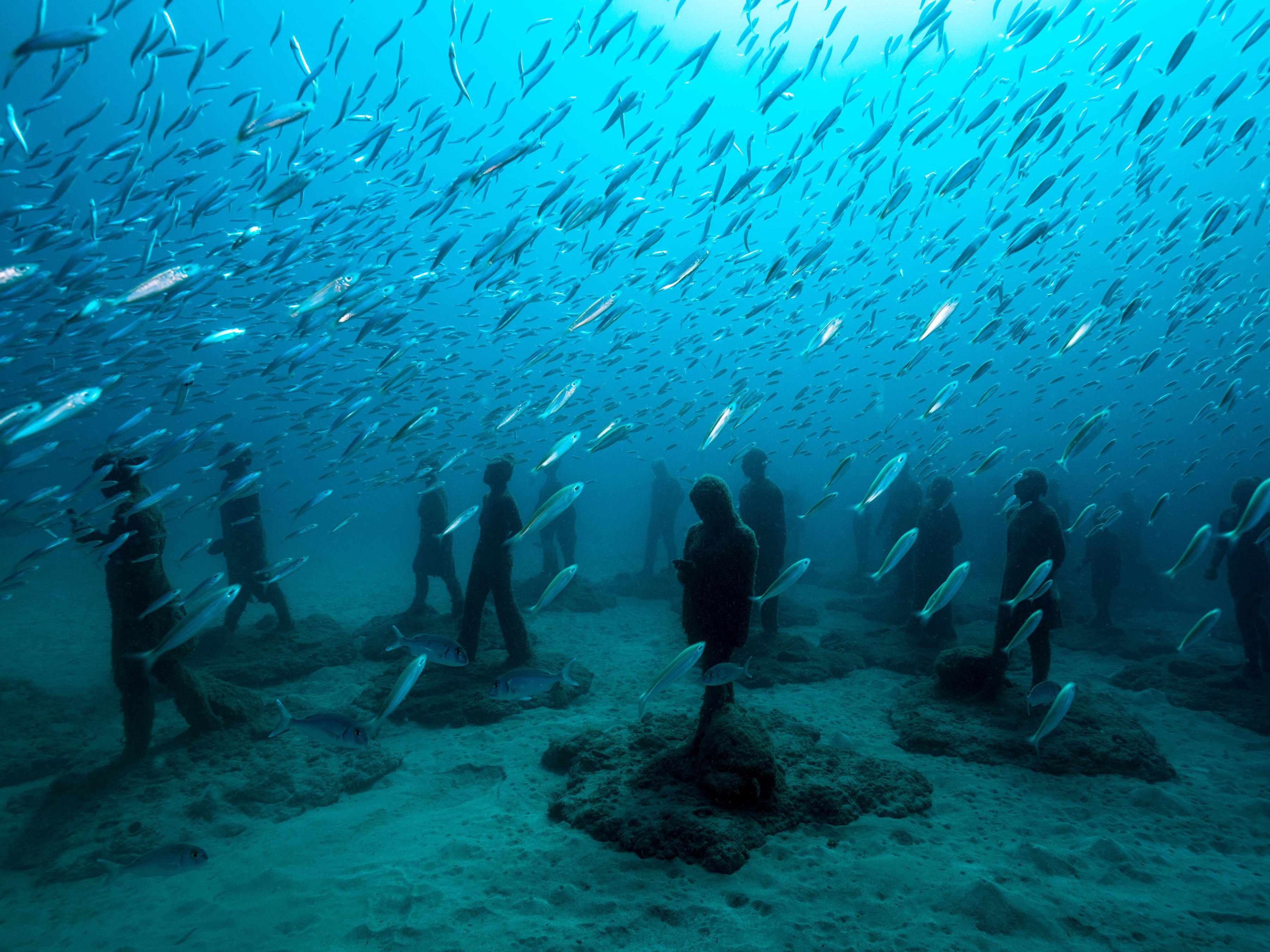 Underwater museum