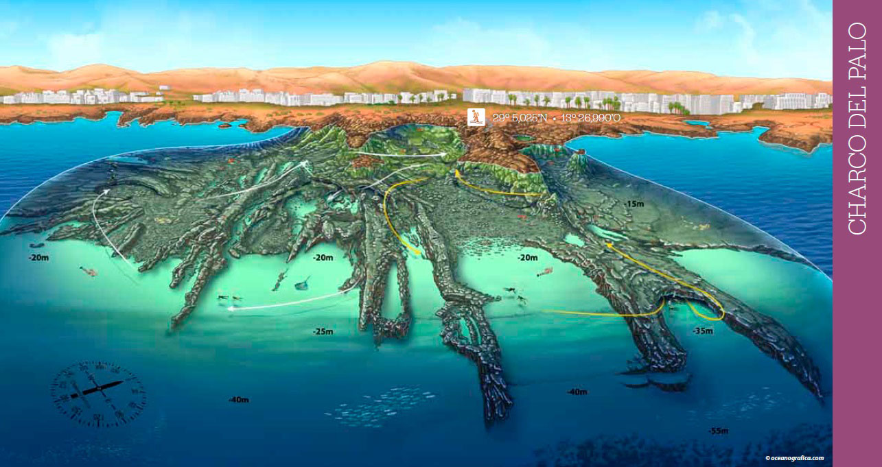 Charco del Palo